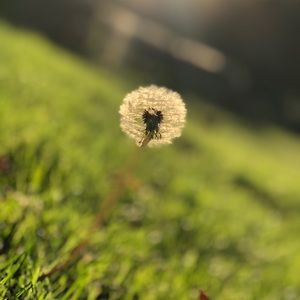 Meet your Posher, Kathlyn